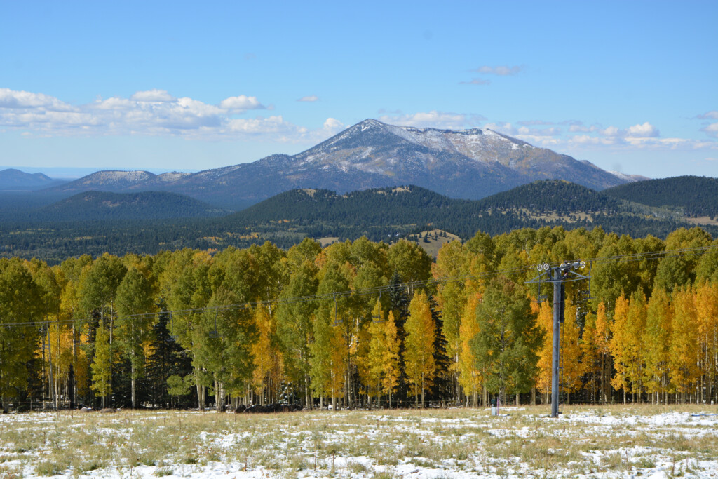 11 Places To Check Out Fall Foliage In Arizona