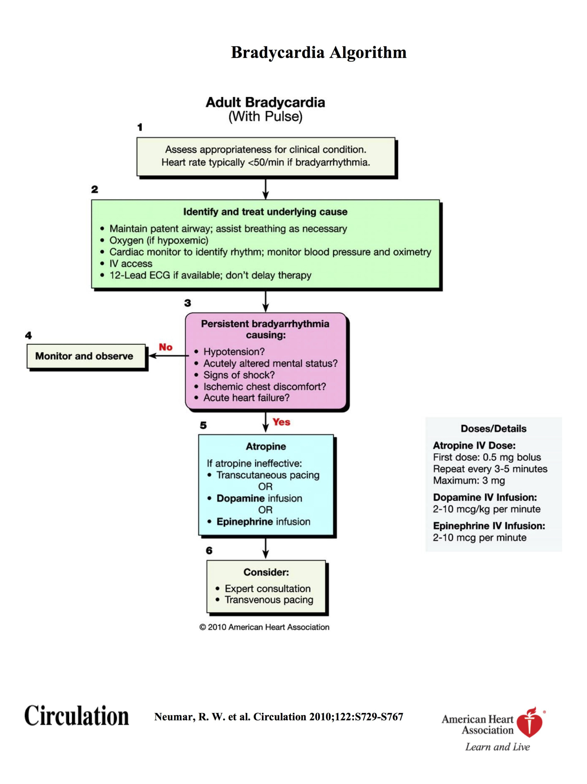 2010 ACLS Algorithms EMS Resources UF Academic Health Center