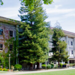 Admit Receptions Admissions At Sonoma State University