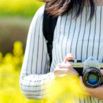 Events Photography Club Exhibition Tohoku University Global Site