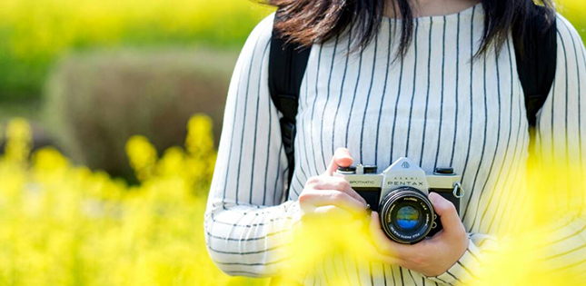 Events Photography Club Exhibition Tohoku University Global Site