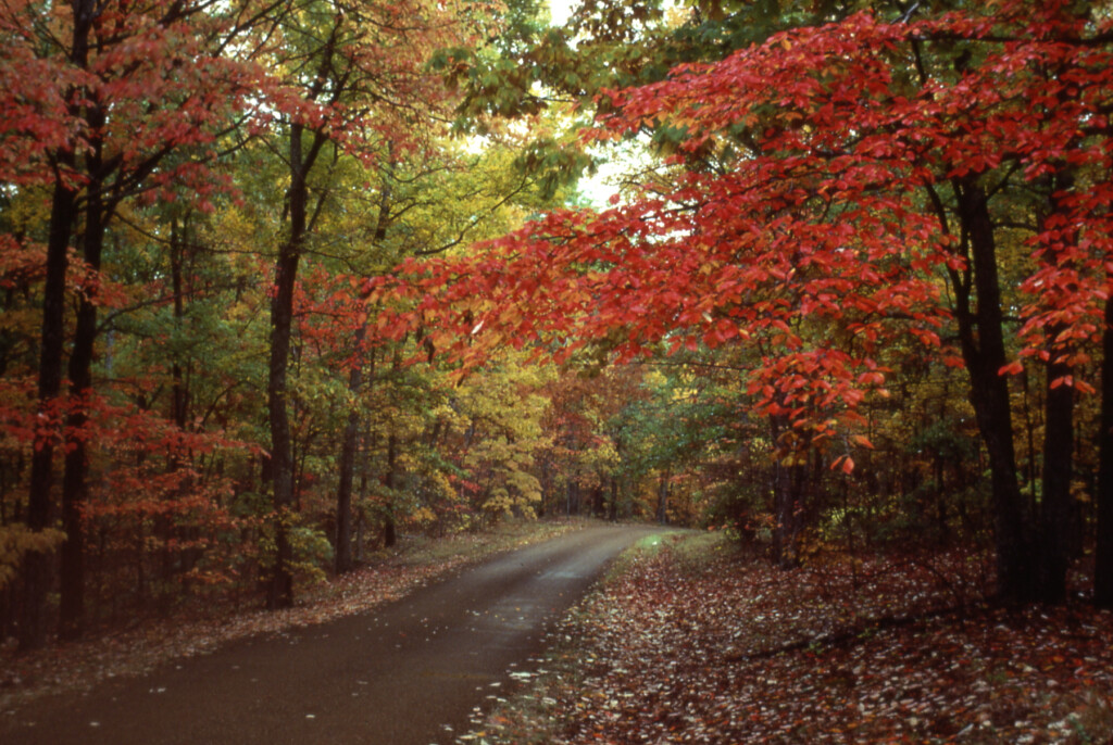 Fall Colors Natchez Trace Parkway U S National Park Service 