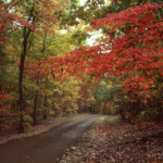 Fall Colors Natchez Trace Parkway U S National Park Service