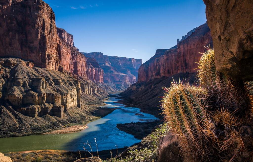 Free Entrance To Grand Canyon National Park For Veterans Day Williams 