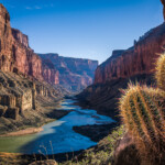 Free Entrance To Grand Canyon National Park For Veterans Day Williams