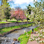 Free Things To Do This Spring In Denver Visit Denver