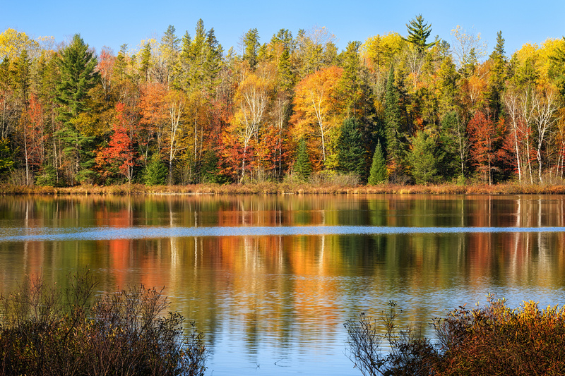 Michigan Nut Photography Autumn In Michigan Gallery