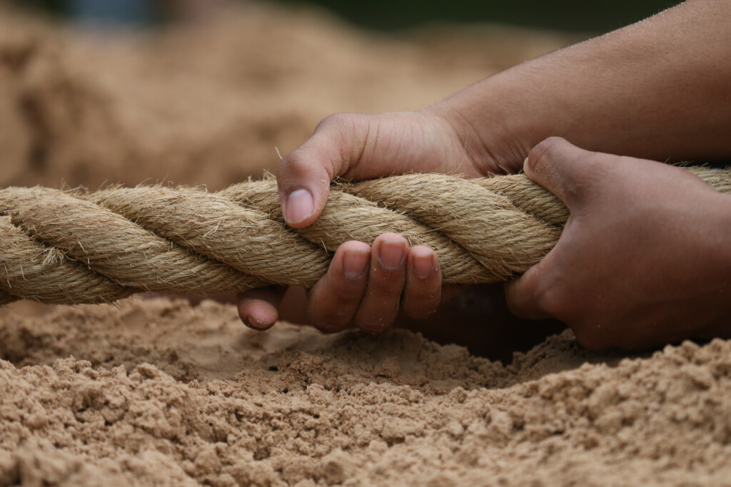 Tug Of War Dia Del Oso Baylor University