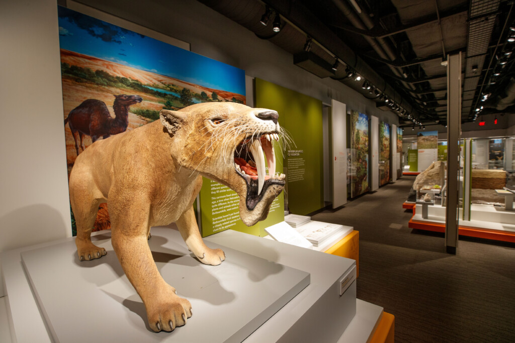 University Of Nebraska State Museum Of Natural History About Us 