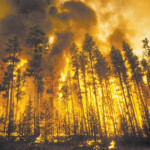 Yellowstone On Fire Chronicle Centennial Bozemandailychronicle