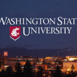 Experience Washington State University YouTube