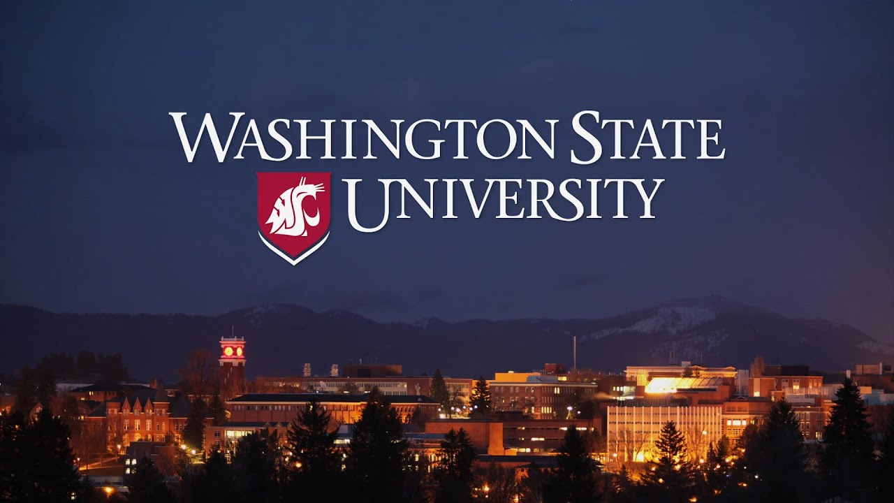 Experience Washington State University YouTube