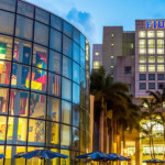 Florida International University Herbert Wertheim College Of Medicine