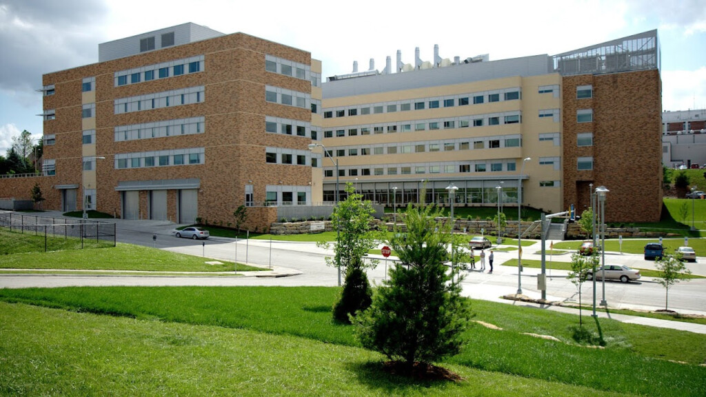 Kansas City University Of Medicine And Biosciences College College 