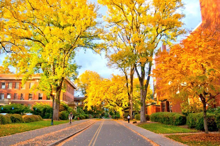 Oregon State University Corvallis Oregon Oregon Photography Oregon