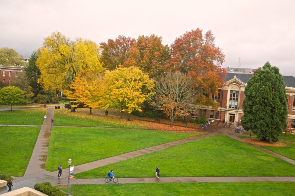 OSU Won t Fight Judge s Decision To Examine Professor s Firing 