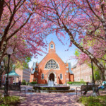Spring Break At Home Georgetown University