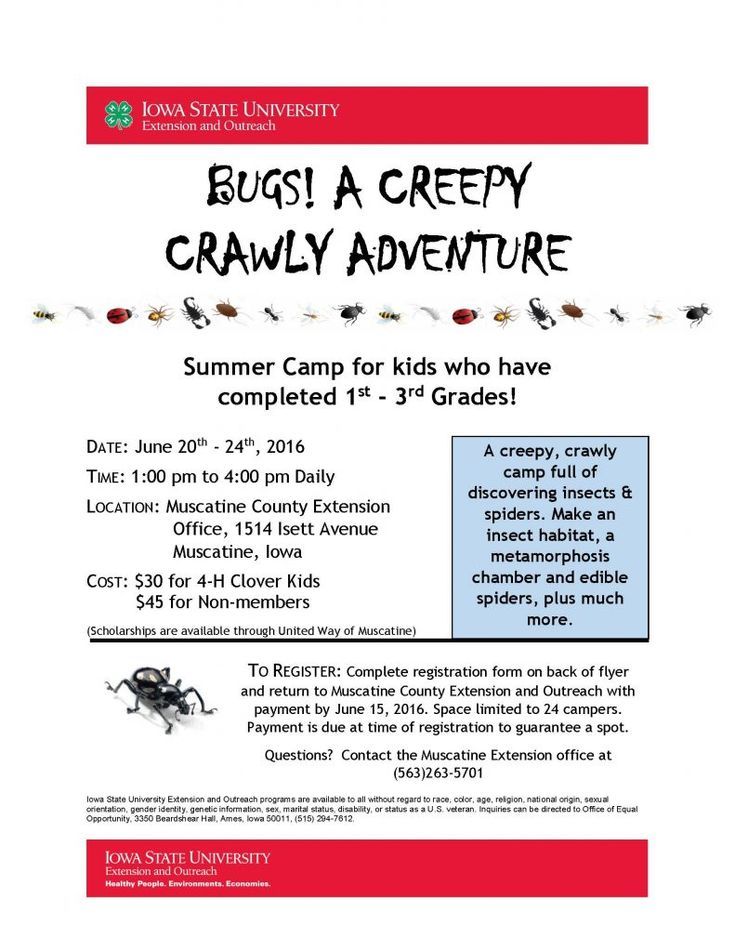 Summer Camps For 1st To 3rd Graders ISU Extension Summer Camps For 