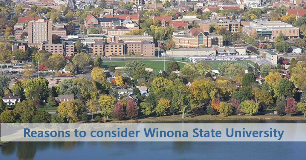 50 50 Profile Winona State University Do It Yourself College 