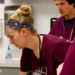 Bellarmine University Accelerated Nursing Program NursingTalk