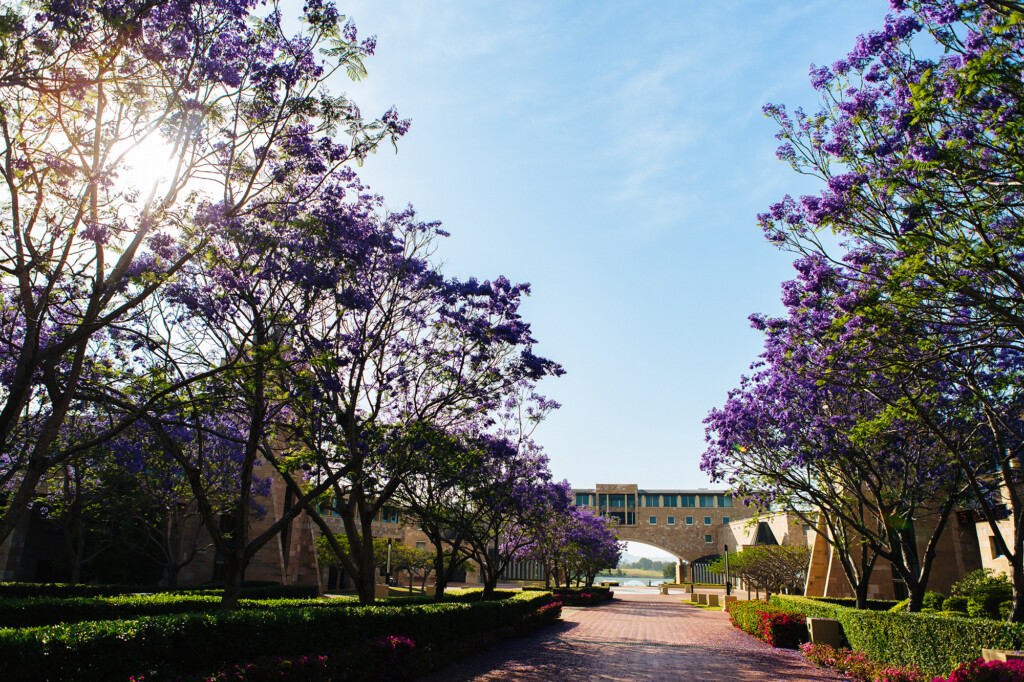 Bond University Academic Receives Accolade From Top Tier Journal Bond 