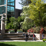 Capilano University UniversityStudy ca