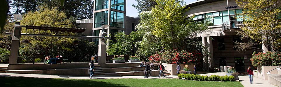  Capilano University UniversityStudy ca