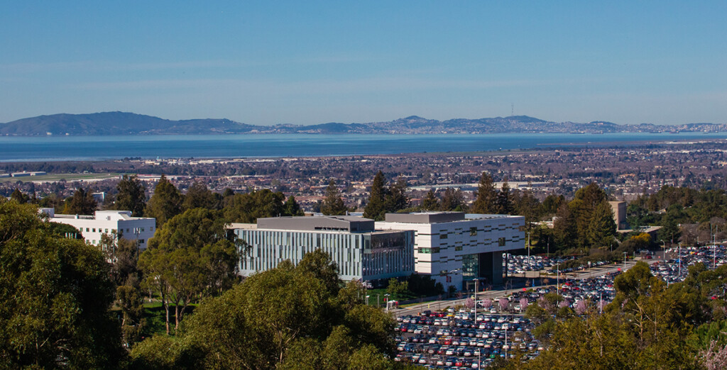 Election 2020 CSUEB