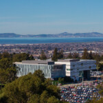 Election 2020 CSUEB