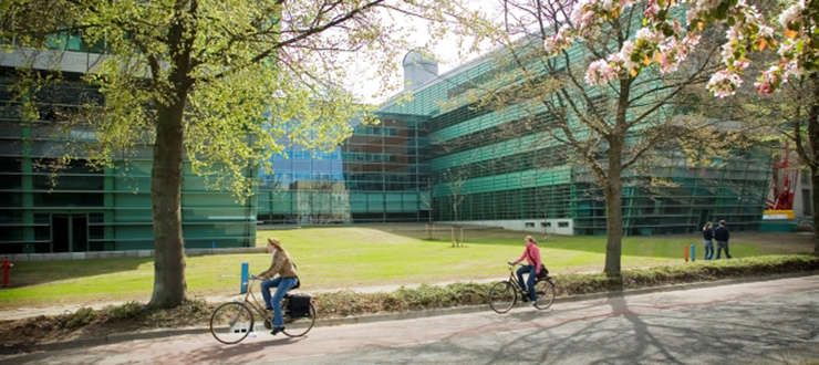 Radboud University MASTER AND MORE