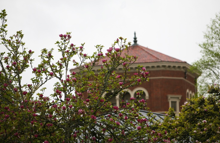 Spring Blooms On The Oregon State University Campus April 2012 Nancy