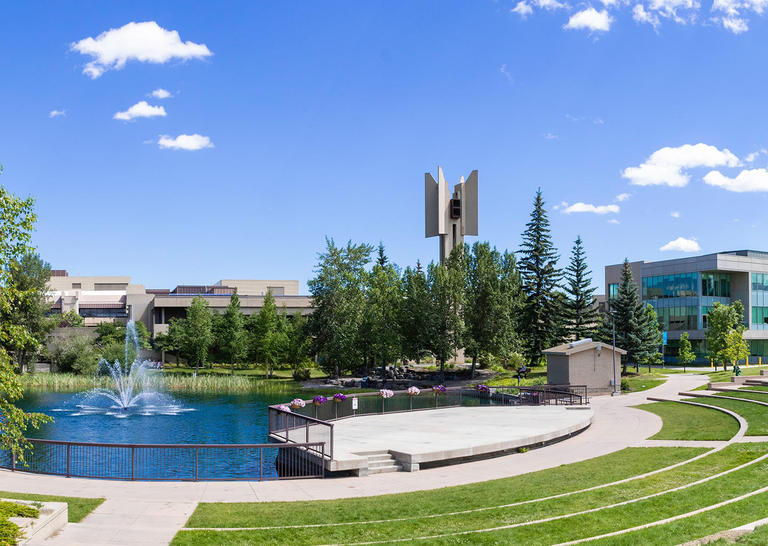 Study Bachelor Of Arts Sociology At Mount Royal University In Canada