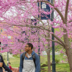 University Of Arizona Academic Calendar 2022 23 July Calendar 2022